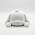 Sleeping Puppy Desk Organizer Catchall Tray - Front