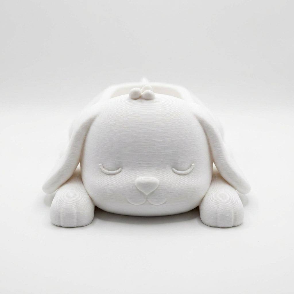 Sleeping Puppy Desk Organizer Catchall Tray - Front